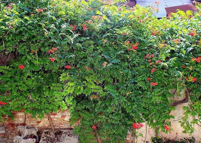 Art Dreams Bed & Breakfast