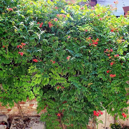 Art Dreams ベッド・アンド・ブレックファスト